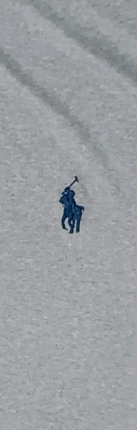 Polo Ralph Lauren Performance grijs geribbeld Geborduurd logo Maat M – photo 6